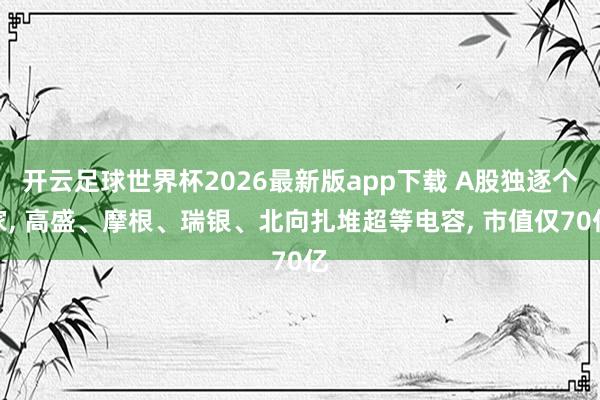 开云足球世界杯2026最新版app下载 A股独逐个家, 高盛、摩根、瑞银、北向扎堆超等电容, 市值仅70亿