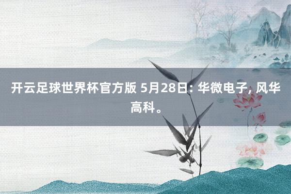 开云足球世界杯官方版 5月28日: 华微电子, 风华高科。