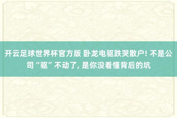 开云足球世界杯官方版 卧龙电驱跌哭散户! 不是公司“驱”不动了, 是你没看懂背后的坑