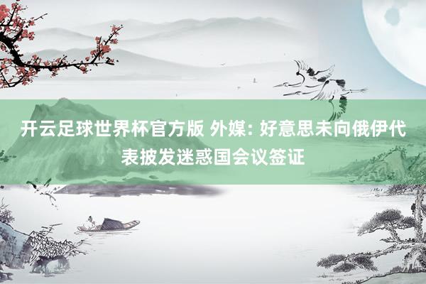 开云足球世界杯官方版 外媒: 好意思未向俄伊代表披发迷惑国会议签证