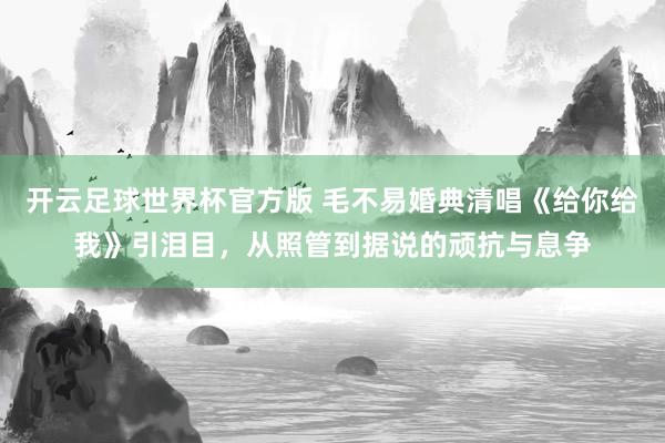 开云足球世界杯官方版 毛不易婚典清唱《给你给我》引泪目，从照管到据说的顽抗与息争