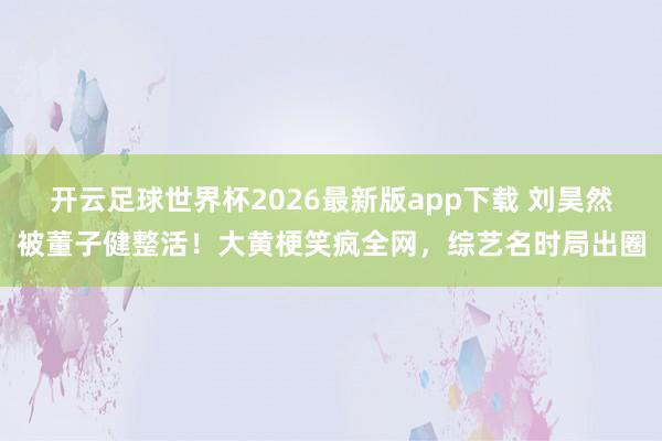 开云足球世界杯2026最新版app下载 刘昊然被董子健整活！大黄梗笑疯全网，综艺名时局出圈