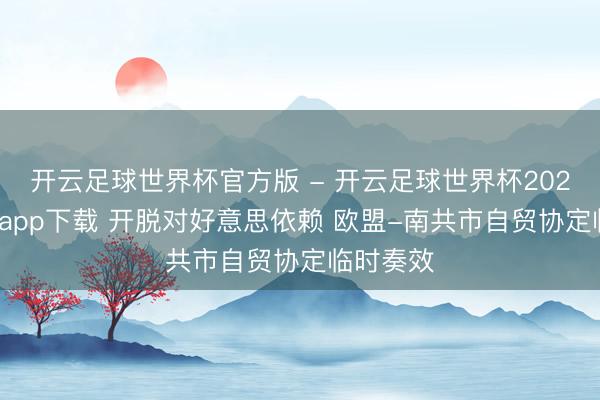 开云足球世界杯官方版 - 开云足球世界杯2026最新版app下载 开脱对好意思依赖 欧盟-南共市自贸协定临时奏效